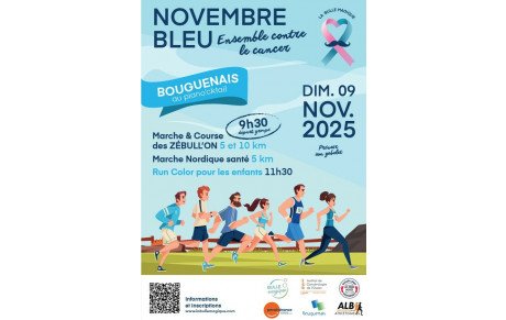 Novembre bleu